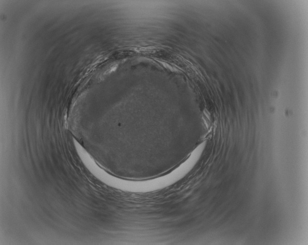 X0000083561298200702231553