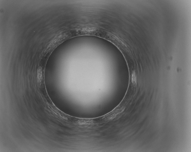 X0000083561299200702231553