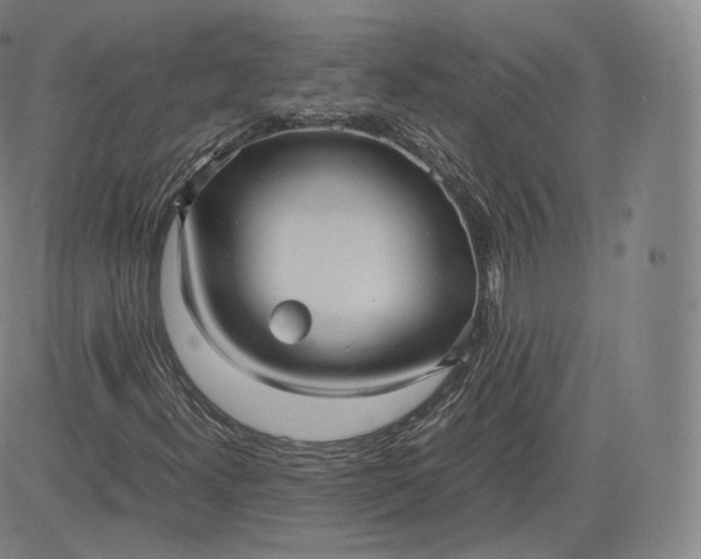 X0000083561300200702231553