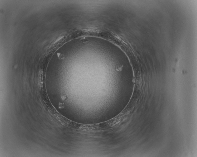 X0000083561301200702231553