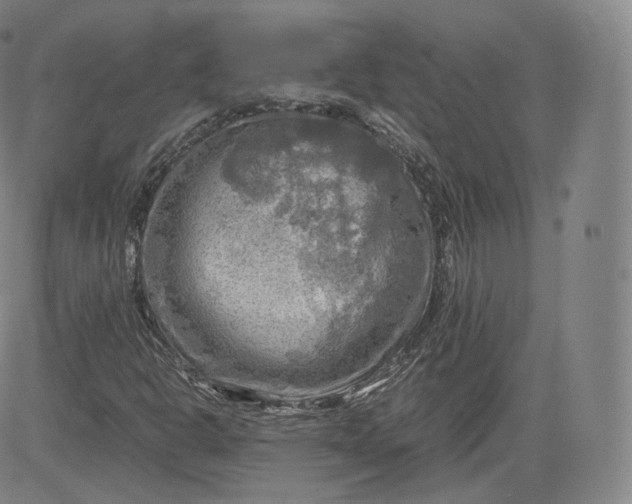 X0000083561302200702231553