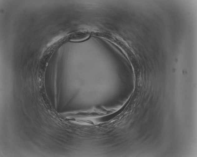 X0000083561303200702231553