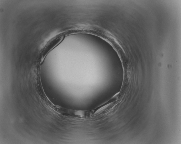 X0000083561304200702231553