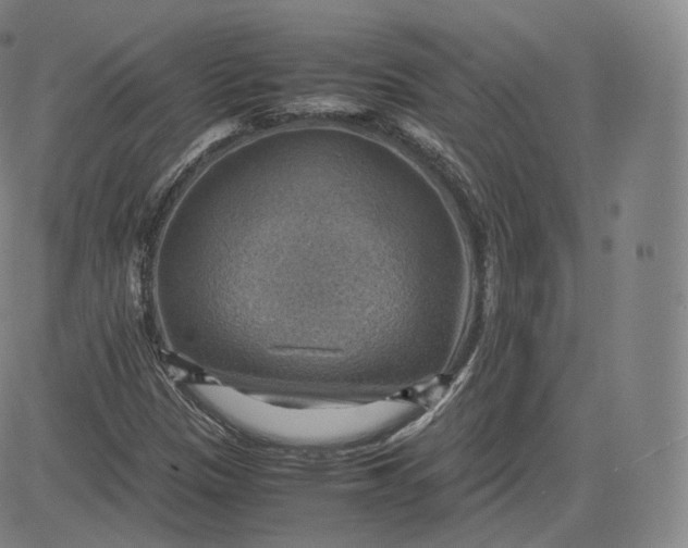 X0000083561305200702231553