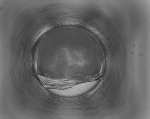 X0000083561306200702231553