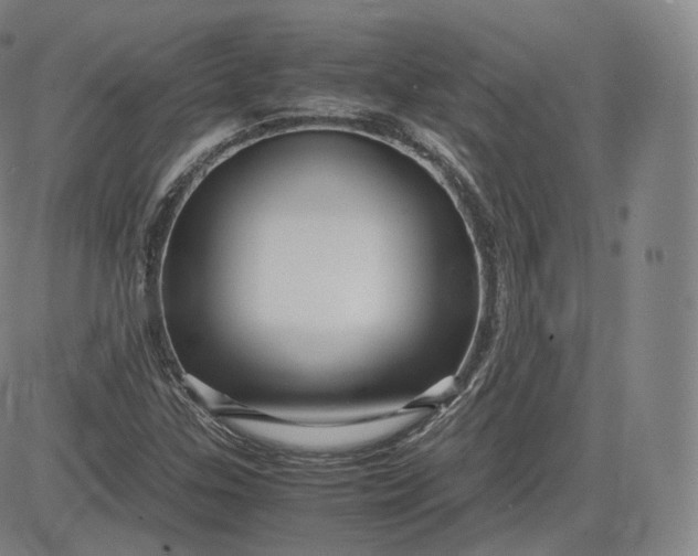 X0000083561307200702231553