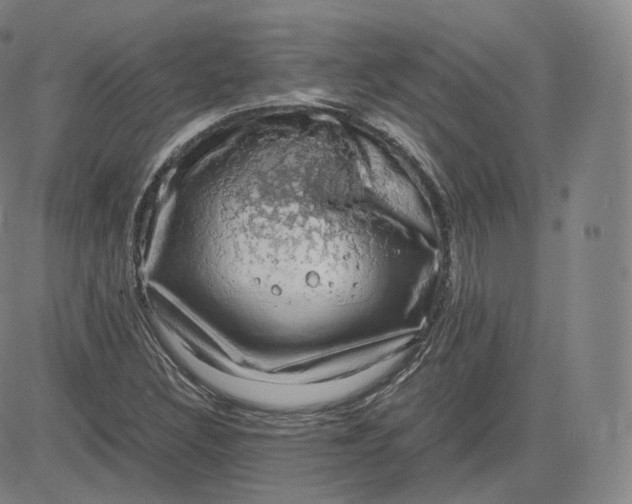 X0000083561308200702231553