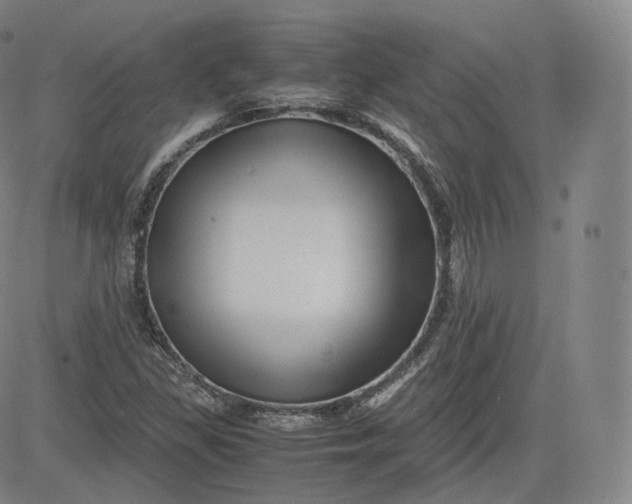 X0000083561309200702231553