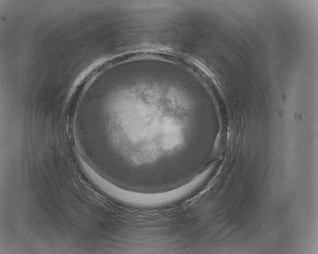 X0000083561310200702231553