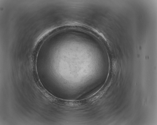 X0000083561311200702231553