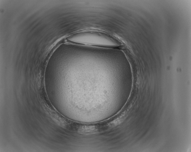 X0000083561313200702231553