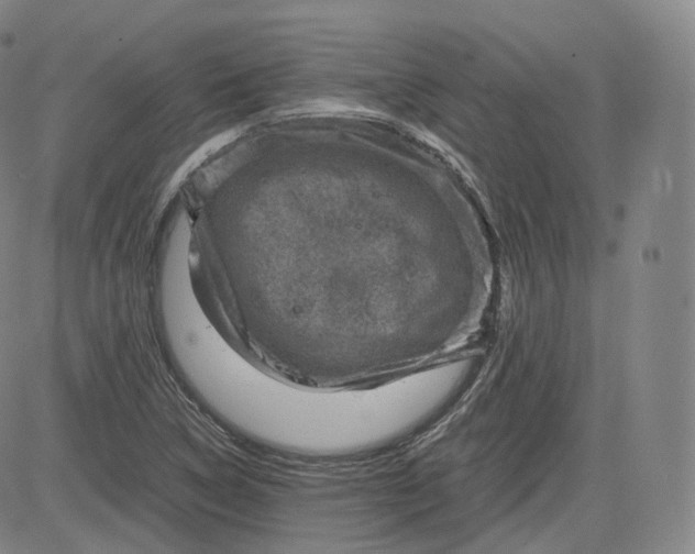 X0000083561314200702231553