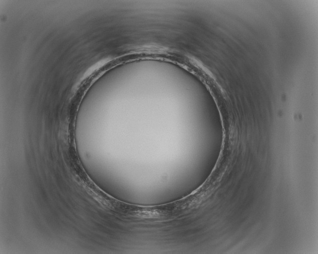 X0000083561315200702231553