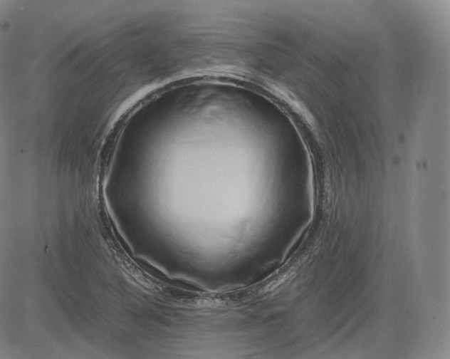 X0000083561316200702231553