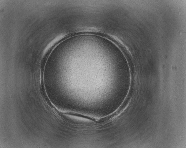 X0000083561317200702231553