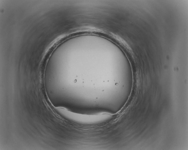 X0000083561318200702231553