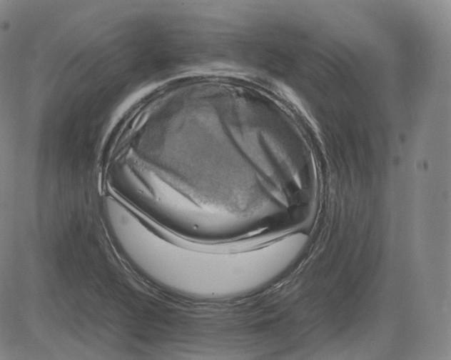 X0000083561320200702231553