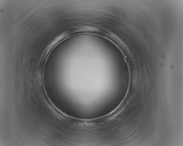 X0000083561321200702231553