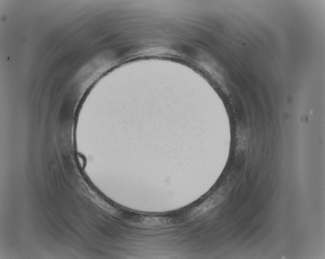 X0000083561322200702231553