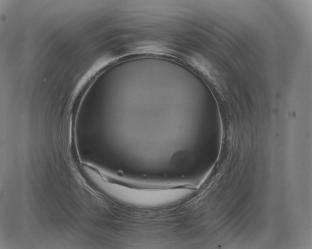 X0000083561323200702231553