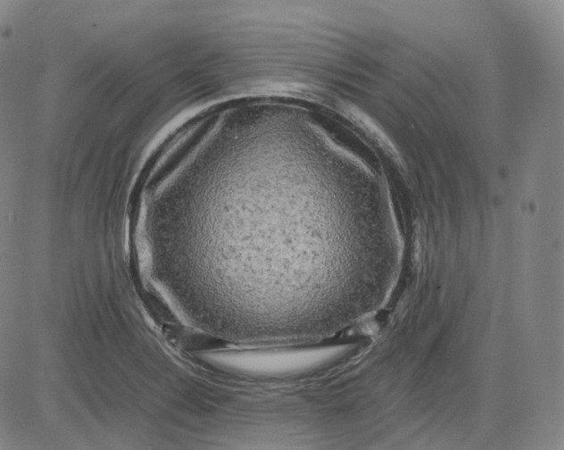 X0000083561324200702231553