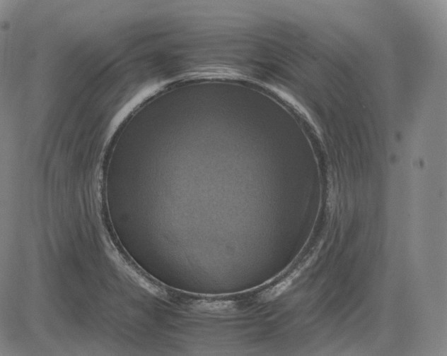 X0000083561325200702231553