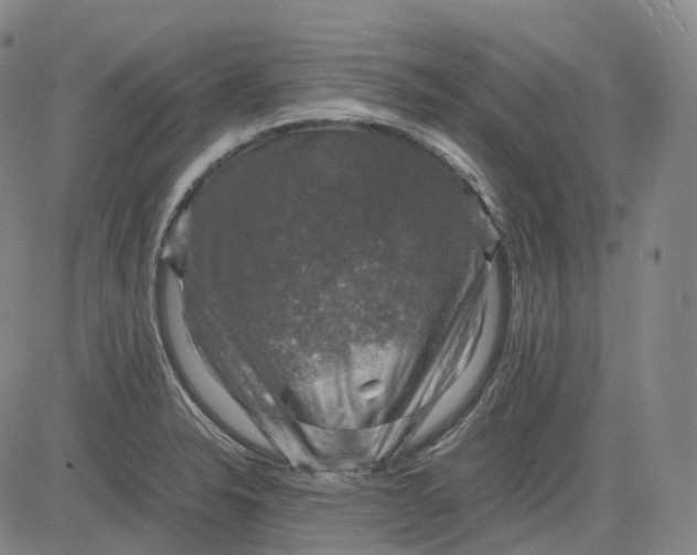 X0000083561326200702231553