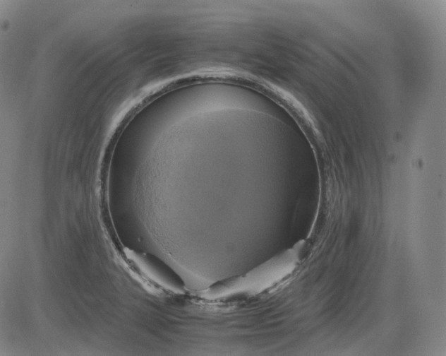 X0000083561327200702231553