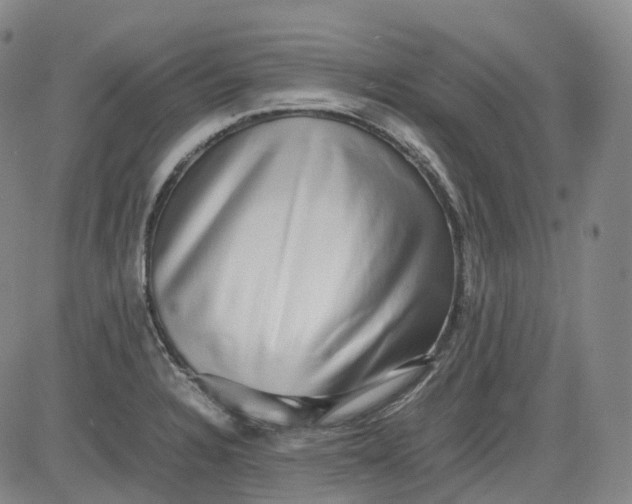 X0000083561328200702231553