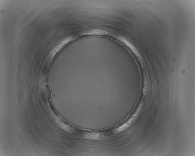 X0000083561329200702231553