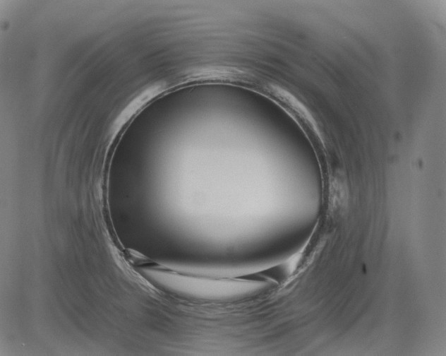 X0000083561330200702231553