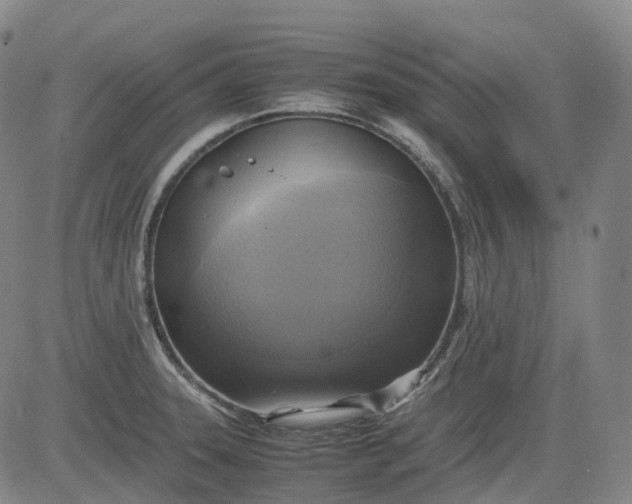 X0000083561331200702231553