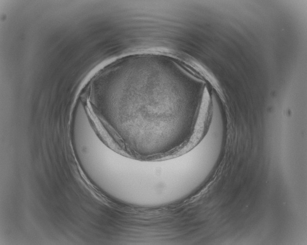 X0000083561332200702231553