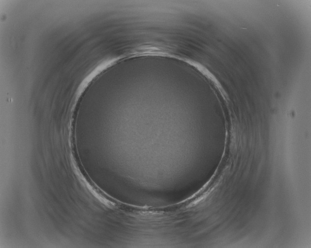 X0000083561333200702231553