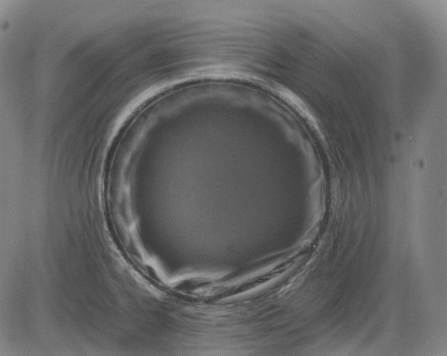 X0000083561334200702231553