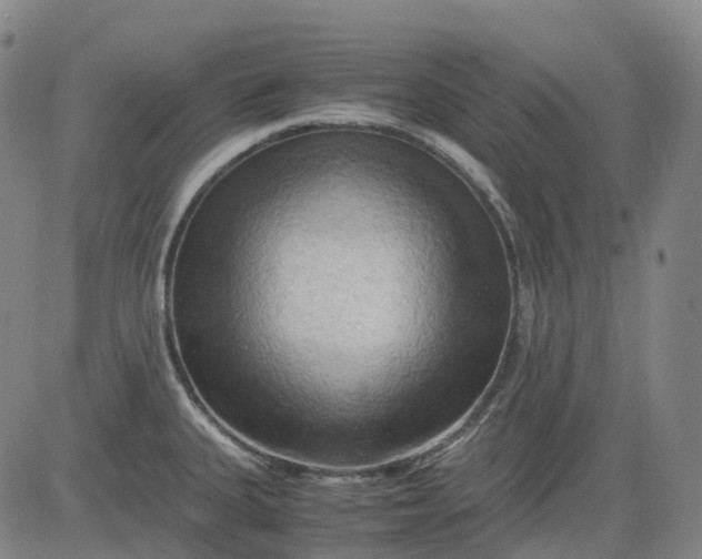 X0000083561335200702231553