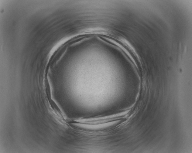 X0000083561336200702231553