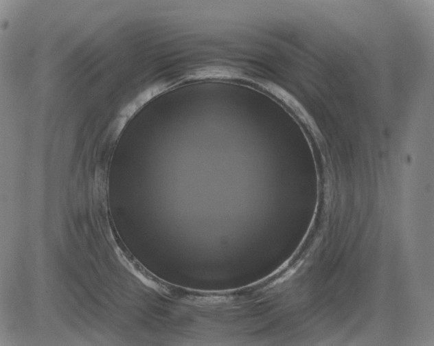 X0000083561337200702231553