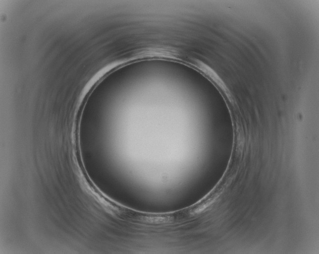 X0000083561339200702231553