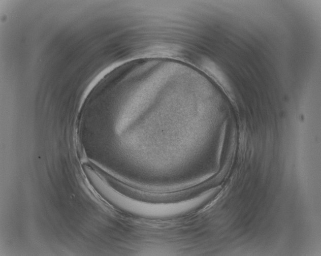 X0000083561340200702231553