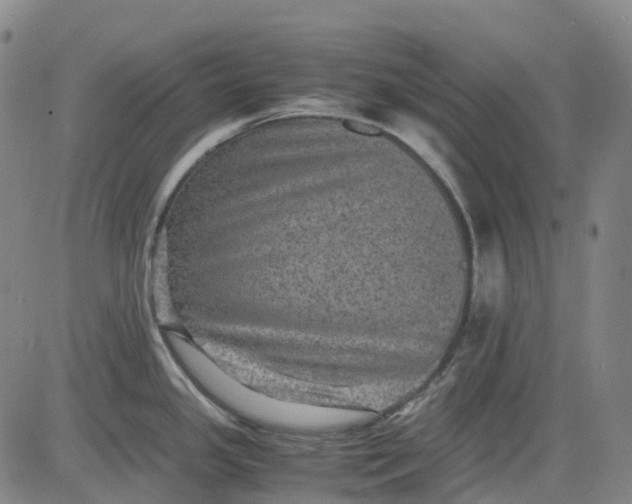 X0000083561341200702231553