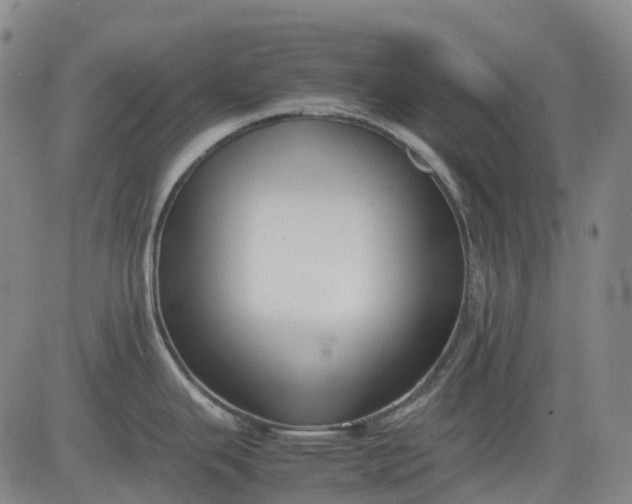 X0000083561343200702231553