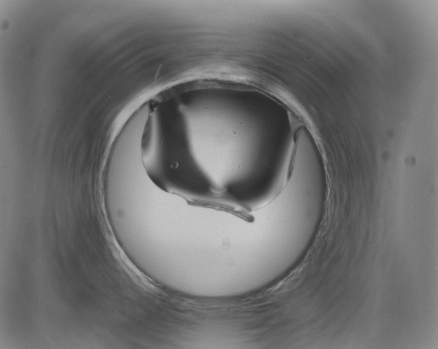 X0000083561344200702231553