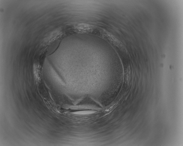 X0000083561346200702231553