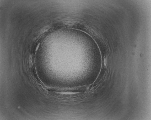 X0000083561347200702231553