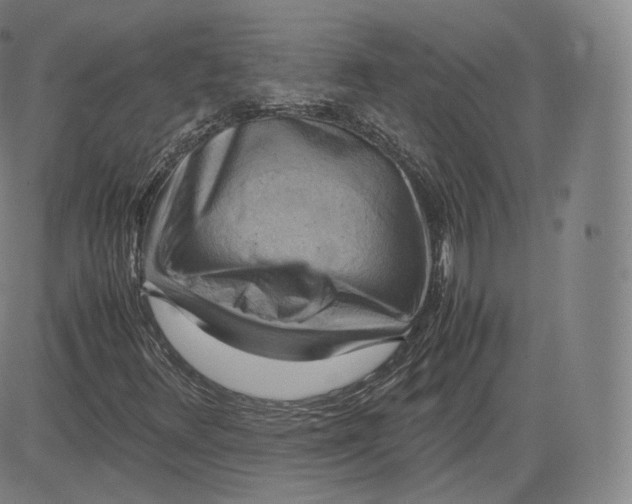 X0000083561348200702231552