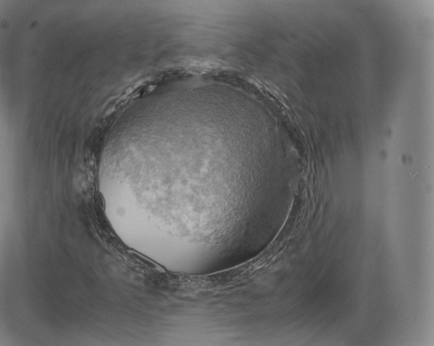 X0000083561349200702231552