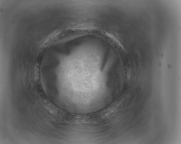 X0000083561350200702231552