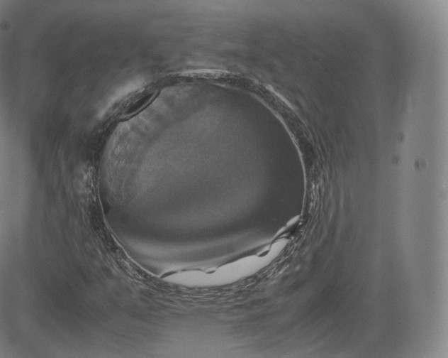 X0000083561351200702231552