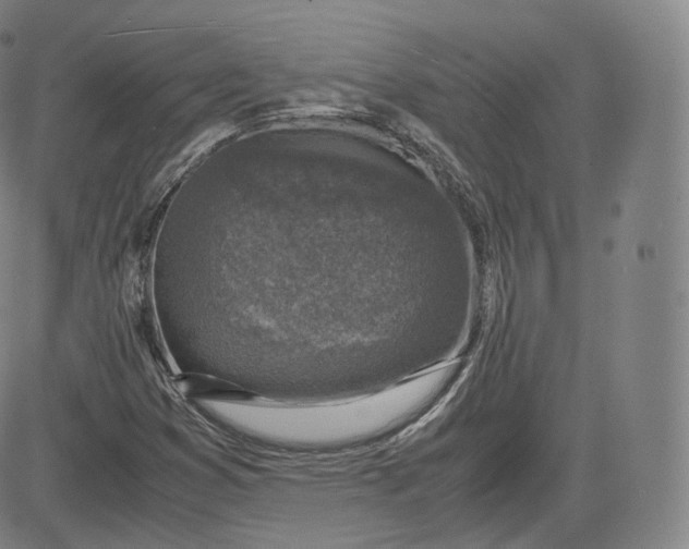 X0000083561353200702231552